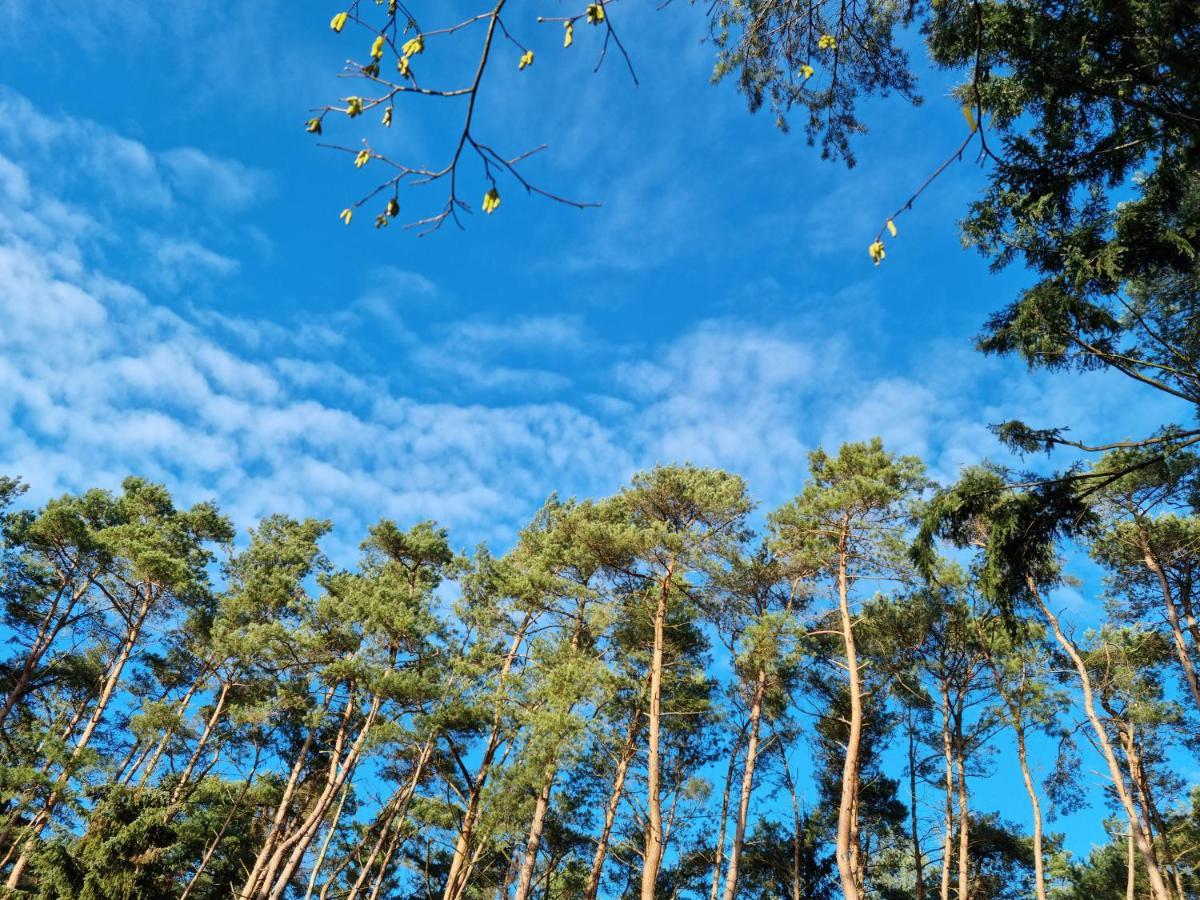 Waldhaus Doetlingen Ferienhaus Im Naturpark Екстер'єр фото